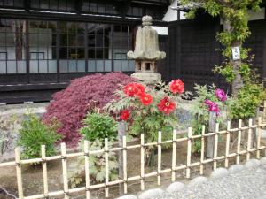 Peonies in the Garden of Former Aoyama Villa
