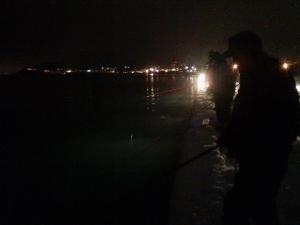暗い釣り場でシャクり続ける釣人たち