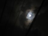 月を観ました。ブレていました。| Copyright (C) Kazuo Yamamoto