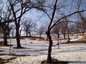 手宮公園 手宮公園