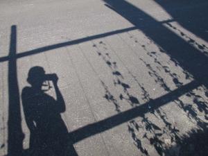 あさがお あさがお