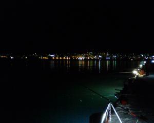 厩岸壁はそれほど混んでいなかった 厩岸壁はそれほど混んでいなかった