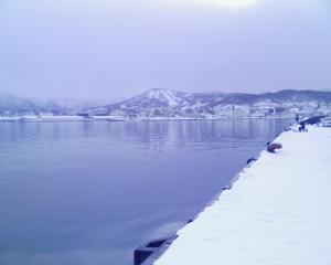 翌日、日中の厩岸壁は空いていた 翌日、日中の厩岸壁は空いていた