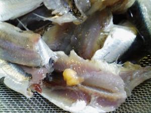 内臓を取り除いた後 内臓を取り除いた後