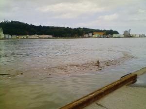 色内埠頭 色内埠頭