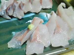 釣ったニシンは例によって刺身に