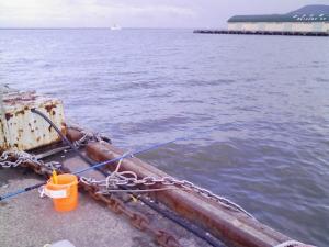 新しい竿で 新しい竿で