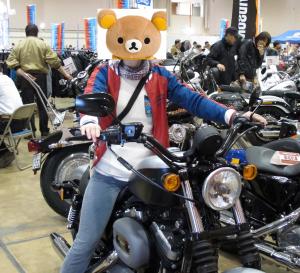 ナイトスター ナイトスター