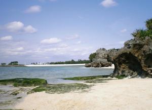 海洋博公園　美ら海