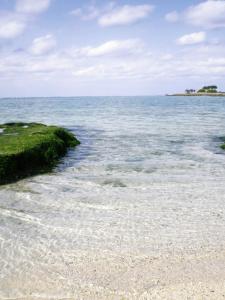 海洋博公園　美ら海