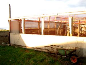 夕暮れ時のネコぐるま|Copyright (C) Kazuo Yamamoto