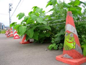 夢の跡の侵入禁止|Copyright (C) Kazuo Yamamoto