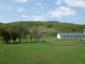 Yamanaka Stock Farm Yamanaka Stock Farm