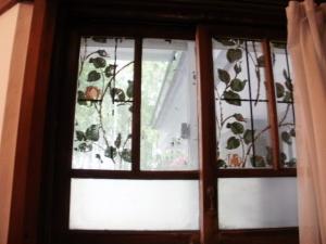 Roses Painted on the Small Window of the Parlor