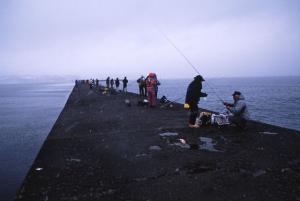 埠頭を渡る風～初雪の頃 | Copyright (C) 2008 Kazuo Yamamoto