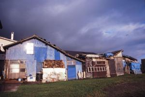 堤防沿いの秋色 | Copyright (C) 2008 Kazuo Yamamoto