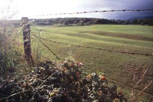 曙のフェアウェイ | Copyright (C) 2008 Kazuo Yamamoto.