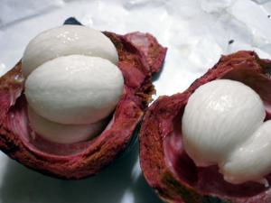 これってなんですか??