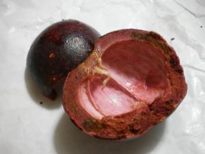 これってなんですか??