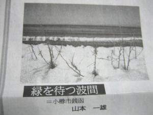 道新夕刊掲載|Copyright (C) Kazuo Yamamoto