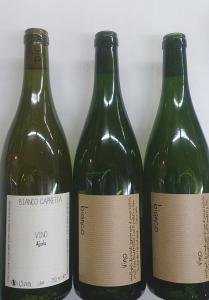 自然派のイタリア、白ワインが入荷しました。「アヨーラ・ビアンコ」