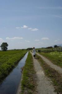 On~Off | Copyright (C) 2008 hachi On~Off | Copyright (C) 2008 hachi