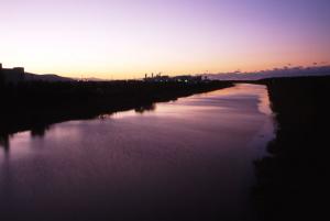 パープルな秋 | Copyright (C) 2008 Kazuo Yamamoto.