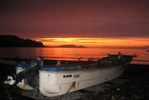 春の夜のグラデーション | Copyright (C) 2009 Kazuo Yamamoto.