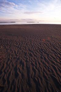 客が来る前の海水浴場 | Copyright (C) 2009 Kazuo Yamamoto.