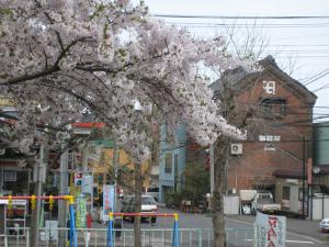 桜と海猫屋|Copyright (C) Kazuo Yamamoto