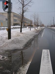 春はChopinの「別れの曲」| Copyright (C) Kazuo Yamamoto