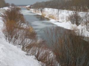 星置川河口付近| Copyright (C) Kazuo Yamamoto 星置川河口付近| Copyright (C) Kazuo Yamamoto