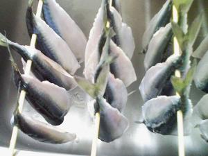 まず流しで3時間ほど まず流しで3時間ほど