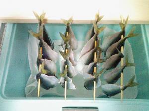 汁だれが止まったのでクーラーボックスに移動 汁だれが止まったのでクーラーボックスに移動