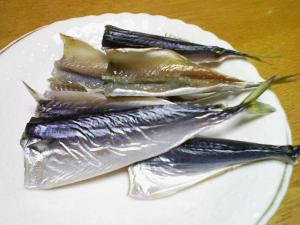 まる一日でこんな感じに まる一日でこんな感じに