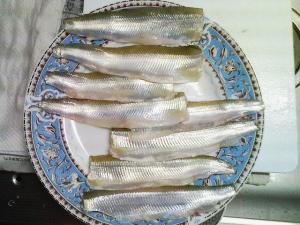 大きいチカを３枚におろしてみた