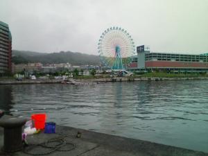 小雨まじりの築港でチカ釣りの竿を出すが、、