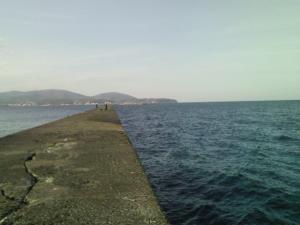 平日の昼間なので空いていた