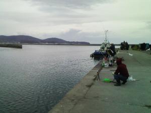 築港臨海公園近くの岸壁のチカ釣り 築港臨海公園近くの岸壁のチカ釣り