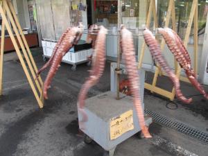 平取ツーリングー。