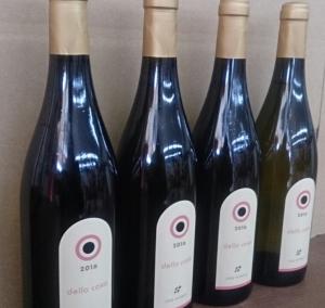 オサ・ワイナリーから新しいワインが入荷しました。