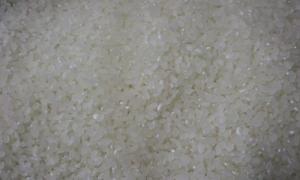 新米がおいしい