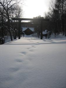 経て...張碓神社にて| Copyright (C) Kazuo Yamamoto 経て...張碓神社にて| Copyright (C) Kazuo Yamamoto