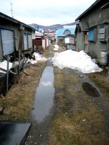 日陰の小道|Copyright (C) Kazuo Yamamoto