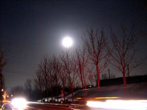 Blue Moon| Copyright (C) Kazuo Yamamoto