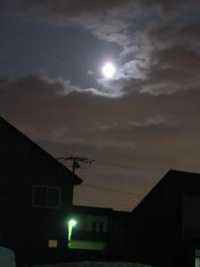 春の前の月夜| Copyright (C) Kazuo Yamamoto 春の前の月夜| Copyright (C) Kazuo Yamamoto