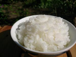 新米が続々入荷中です!