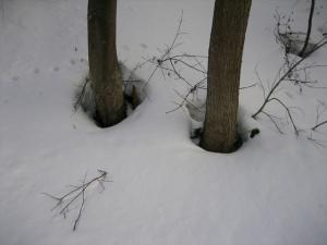 根開き| Copyright (C) Kazuo Yamamoto 根開き| Copyright (C) Kazuo Yamamoto