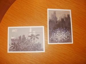 Post cards of Seiji Kaneko's prints