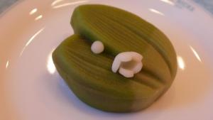 Wagashi of Spring